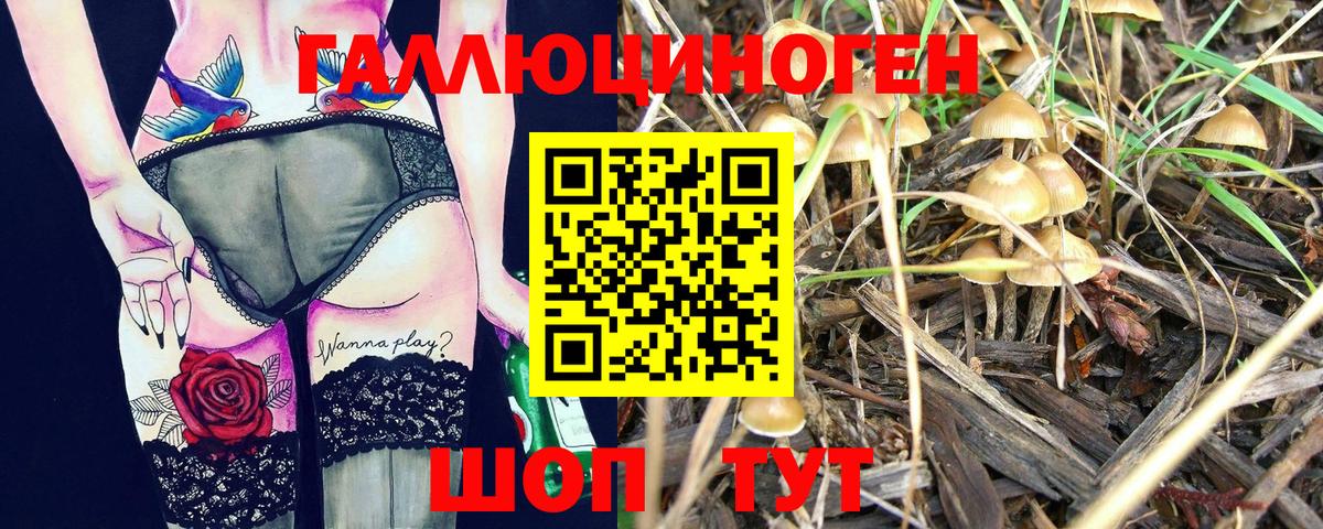 Псилоцибиновые грибы Cubensis  Вход с VPN  даркнет сайт  Узловая  Галлюциногенные грибы мухоморы 